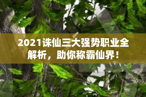 2021诛仙三大强势职业全解析图片