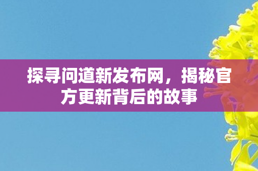 揭秘官方更新背后的故事图片