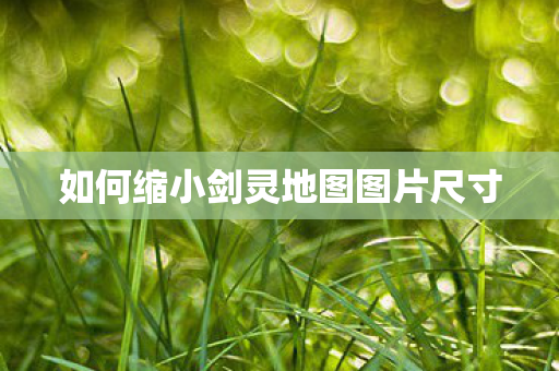 如何缩小剑灵地图图片尺寸图片