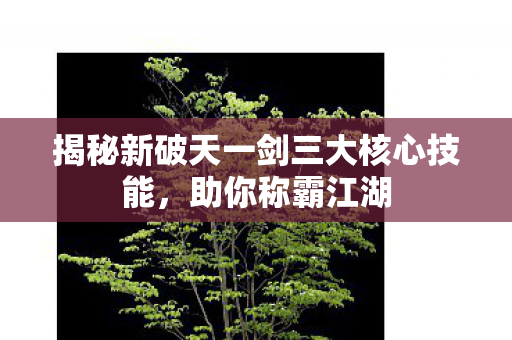 揭秘新破天一剑三大核心技能图片