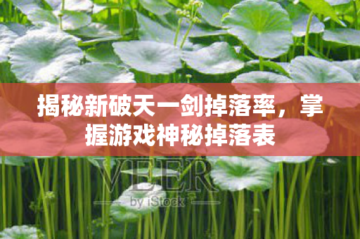 揭秘新破天一剑掉落率图片