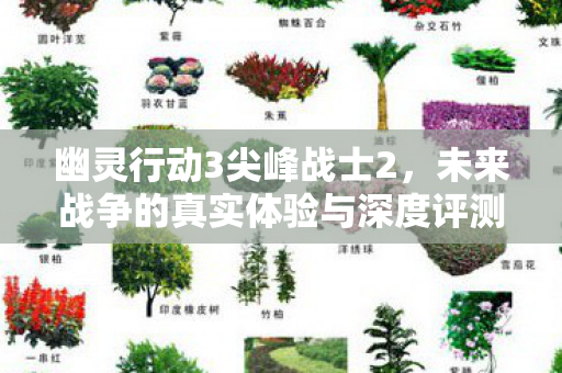 未来战争的真实体验与深度评测图片