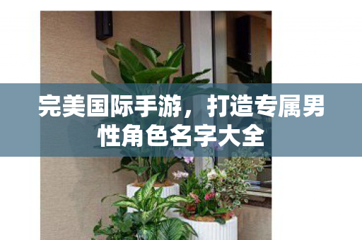 打造专属男性角色名字大全图片