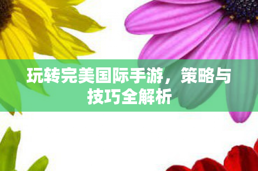 玩转完美国际手游图片
