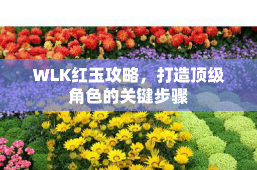 打造顶级角色的关键步骤图片