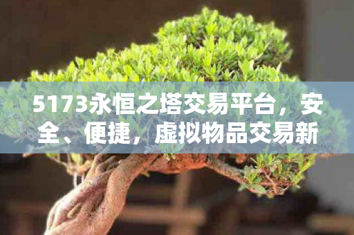 5173永恒之塔交易平台图片