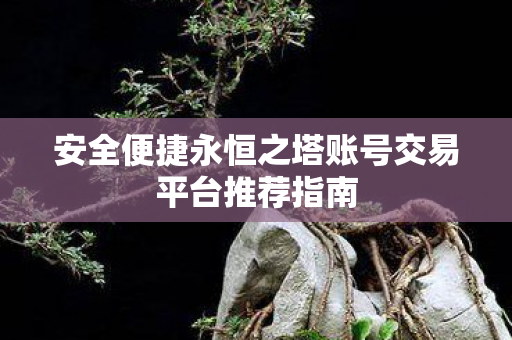 安全便捷永恒之塔账号交易平台推荐指南图片