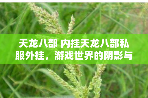 天龙八部 内挂天龙八部私服外挂图片