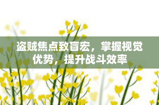 盗贼焦点致盲宏图片
