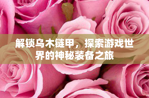 解锁乌木链甲，探索游戏世界的神秘装备之旅