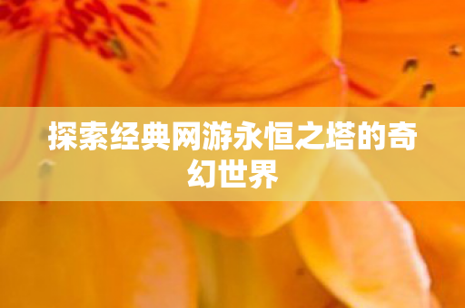 探索经典网游永恒之塔的奇幻世界图片