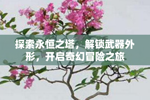 开启奇幻冒险之旅图片