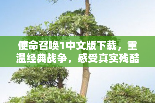 使命召唤1中文版下载图片