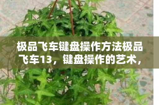 极品飞车键盘操作方法极品飞车13图片