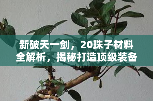 揭秘打造顶级装备的秘密图片