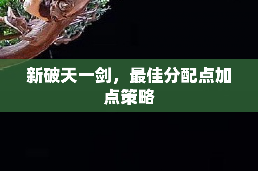 最佳分配点加点策略图片