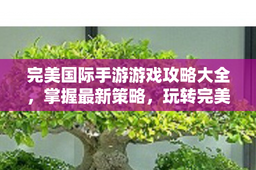 完美国际手游游戏攻略大全图片