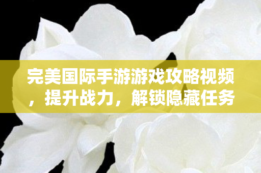 完美国际手游游戏攻略视频图片