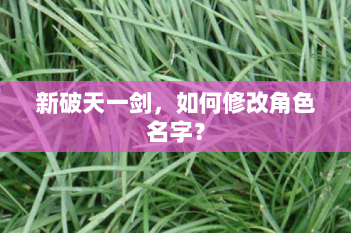 如何修改角色名字图片