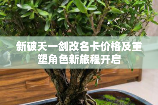 新破天一剑改名卡价格及重塑角色新旅程开启图片