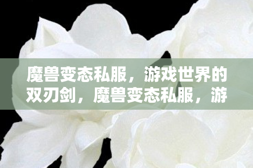 游戏世界的双刃剑图片