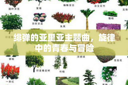 绯弹的亚里亚主题曲图片