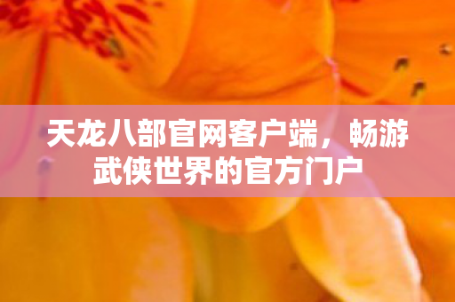畅游武侠世界的官方门户图片