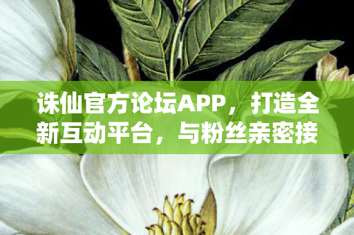 诛仙官方论坛APP,打造全新互动平台,与粉丝亲密接触 诛仙官方论坛APP,打造全新互动平台,与粉丝亲密接触