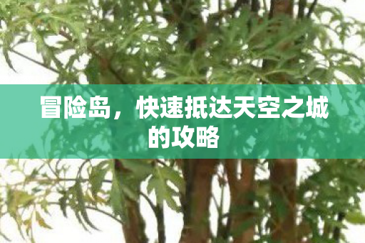 快速抵达天空之城的攻略图片