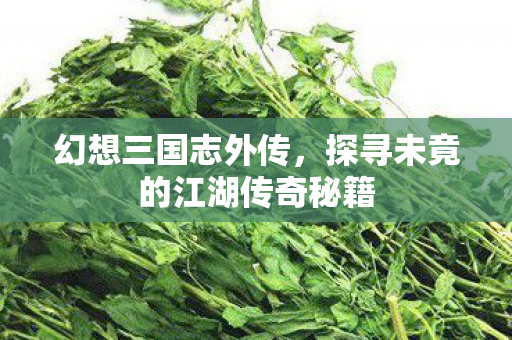 探寻未竟的江湖传奇秘籍图片