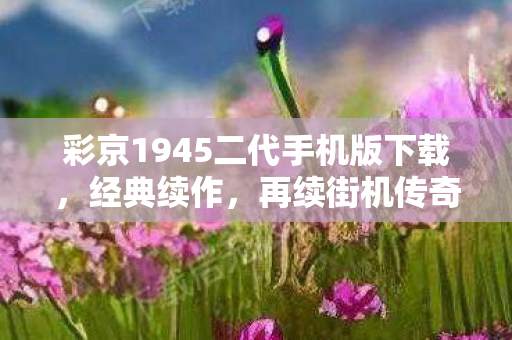 彩京1945二代手机版下载图片