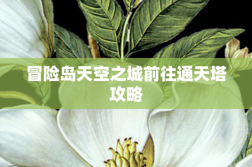 冒险岛天空之城前往通天塔攻略图片