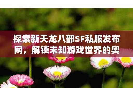 探索新天龙八部SF私服发布网图片