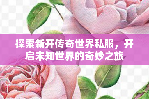 开启未知世界的奇妙之旅图片