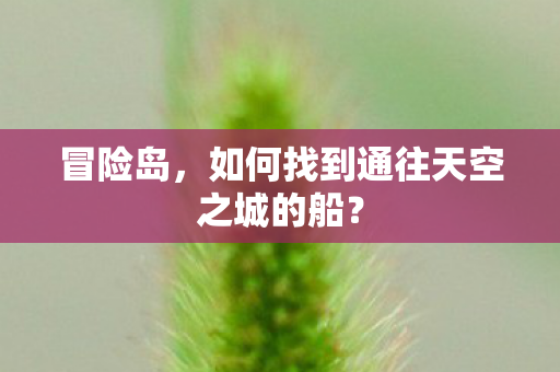 如何找到通往天空之城的船图片