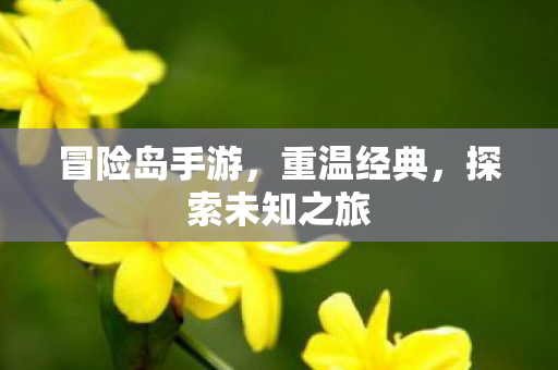 探索未知之旅图片