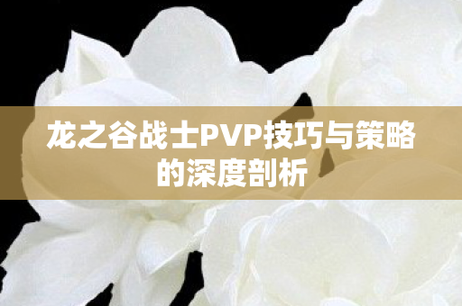 龙之谷战士PVP技巧与策略的深度剖析图片
