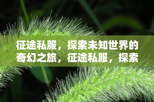 探索未知世界的奇幻之旅图片