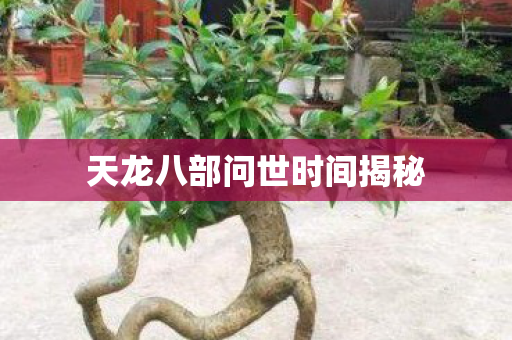 天龙八部问世时间揭秘图片