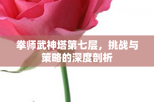 挑战与策略的深度剖析图片