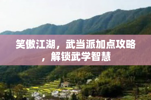 笑傲江湖，武当派加点攻略，解锁武学智慧