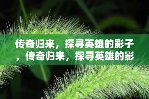 传奇归来,探寻英雄的影子,传奇归来,探寻英雄的影子 传奇归来,探寻英雄的影子,传奇归来,探寻英雄的影子