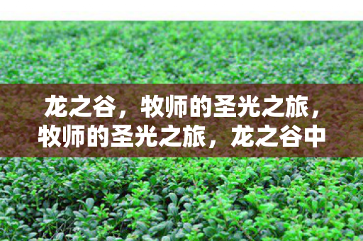 龙之谷中的神圣使命图片