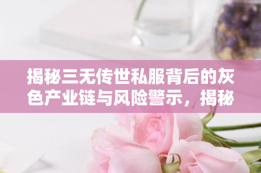揭秘三无传世私服背后的灰色产业链与风险警示图片