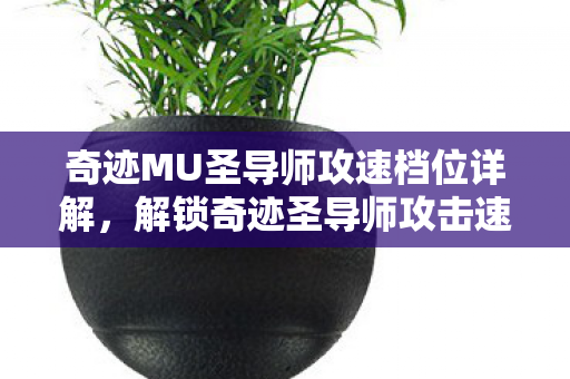 奇迹MU圣导师攻速档位详解图片