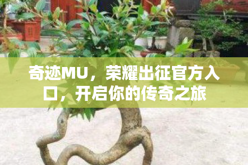 荣耀出征官方入口图片