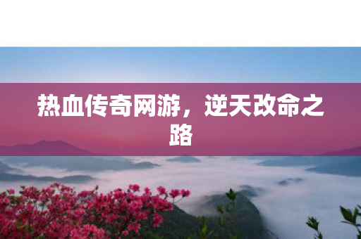热血传奇网游图片