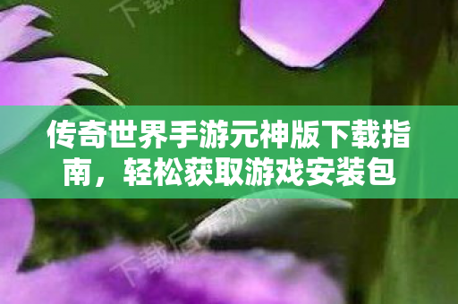 传奇世界手游元神版下载指南图片