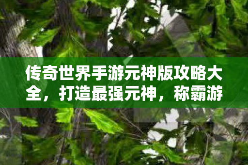 传奇世界手游元神版攻略大全图片