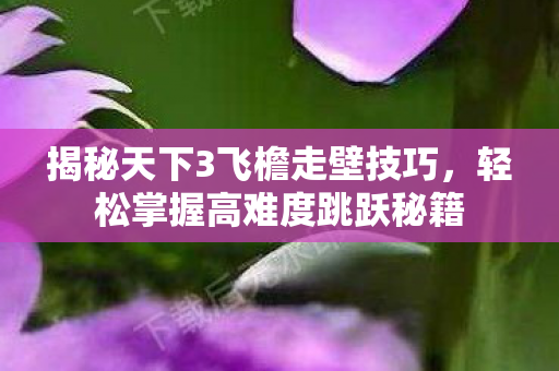 揭秘天下3飞檐走壁技巧图片